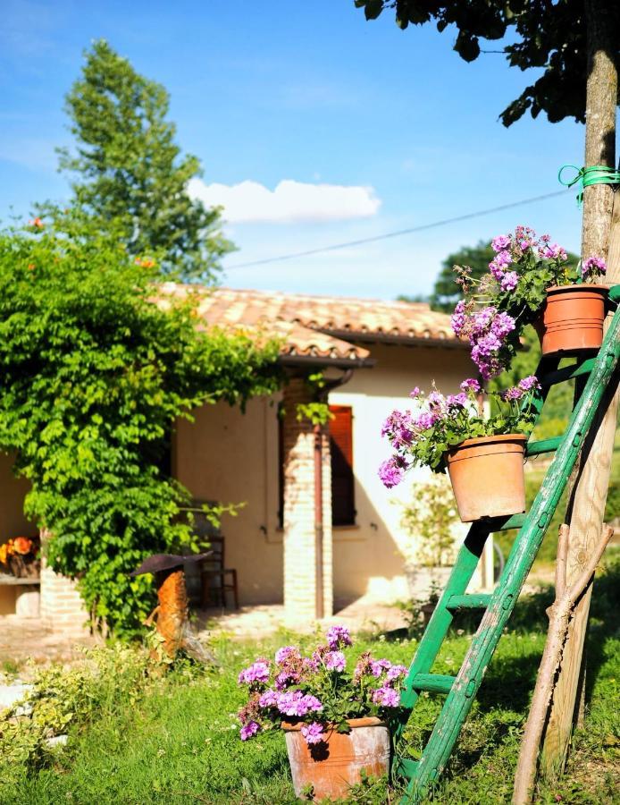 Arcadia Villa Spello Buitenkant foto