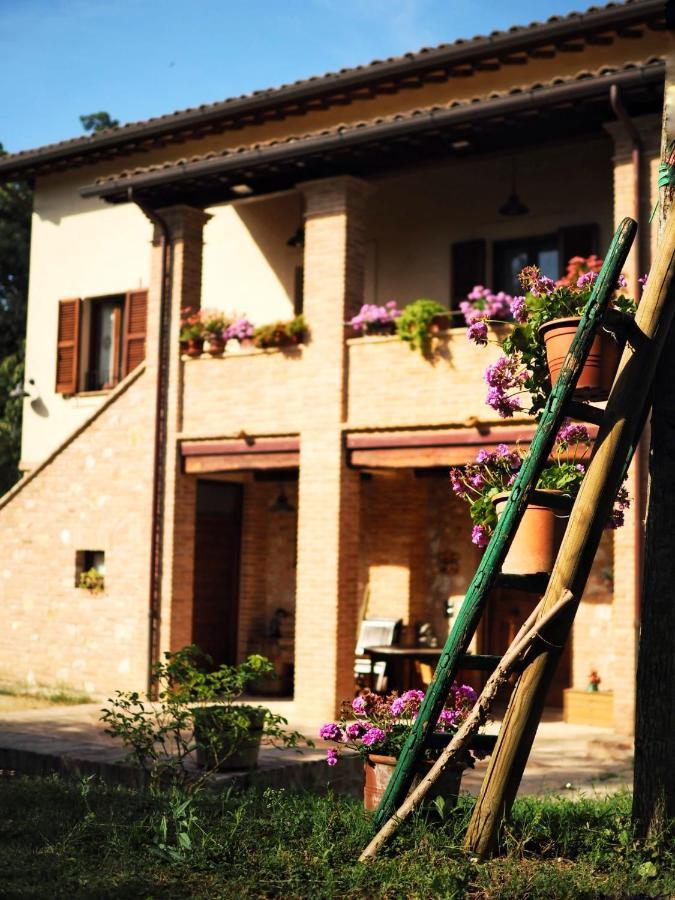 Arcadia Villa Spello Buitenkant foto