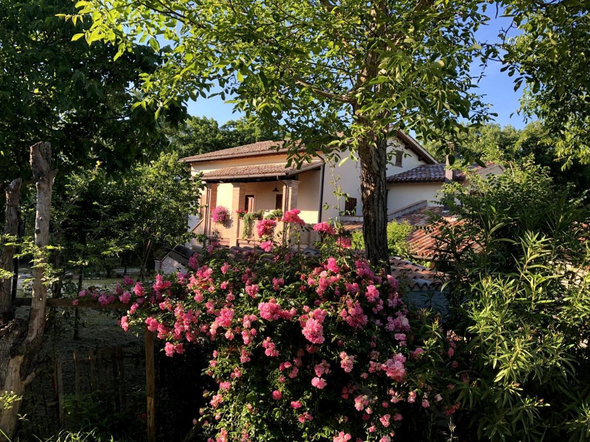 Arcadia Villa Spello Buitenkant foto